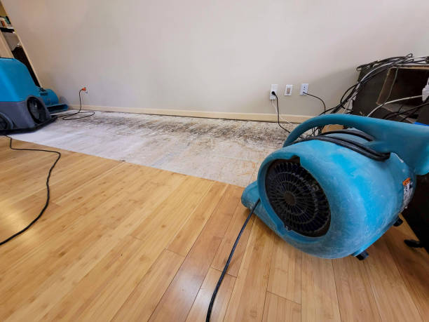 Professional Basement Flood Cleanup technician working in Quinault, WA